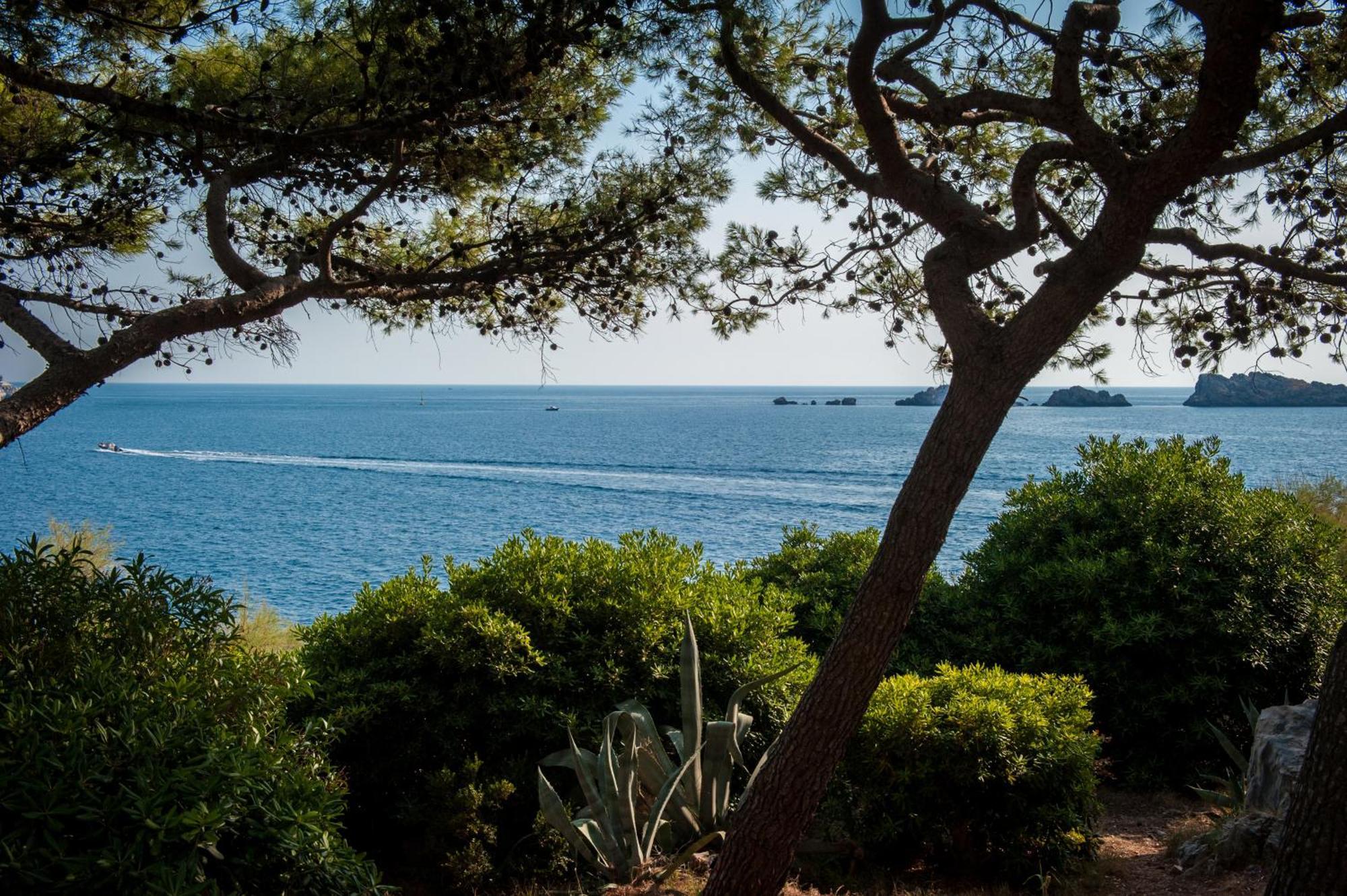 로얄 프린세스 호텔 두브로브니크 외부 사진 View of the sea from the park